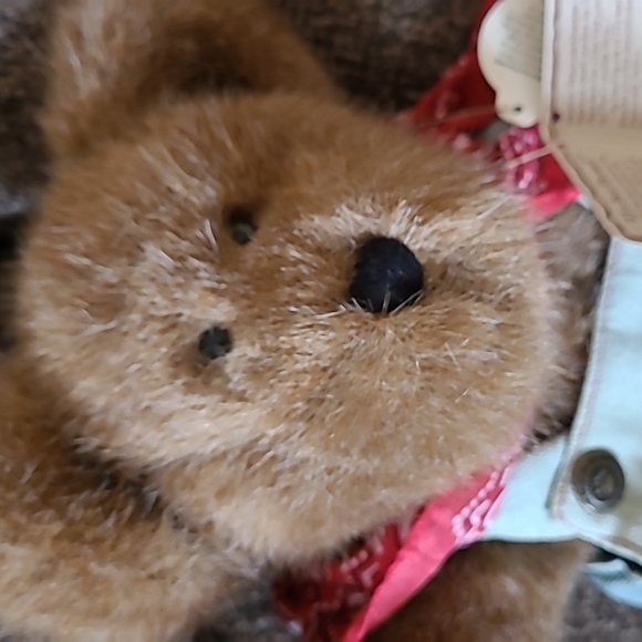 Retired Jeb McDonald Boyds Bear - Picture 3 of 4